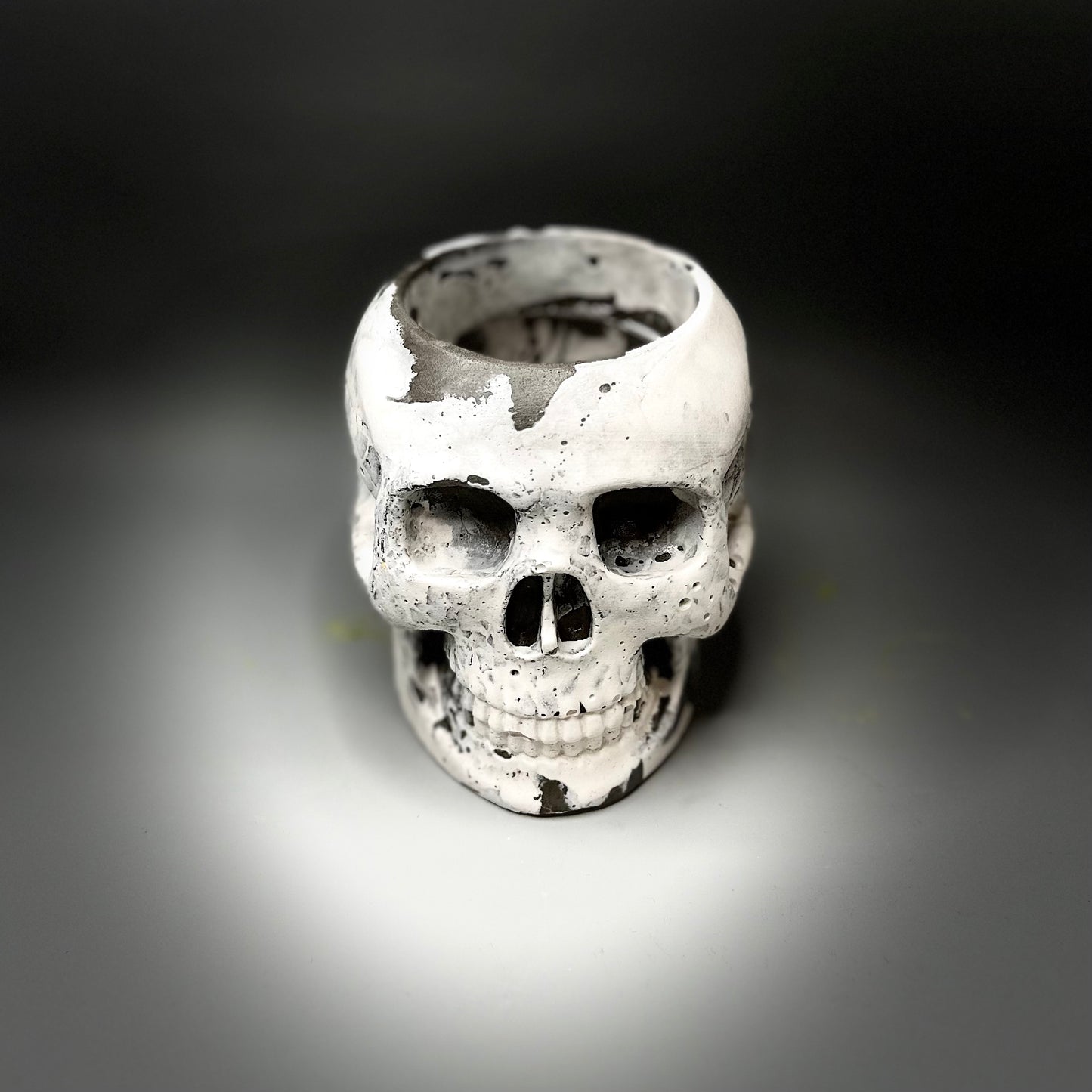 Concrete Skull Planter Mexicana Collection -D