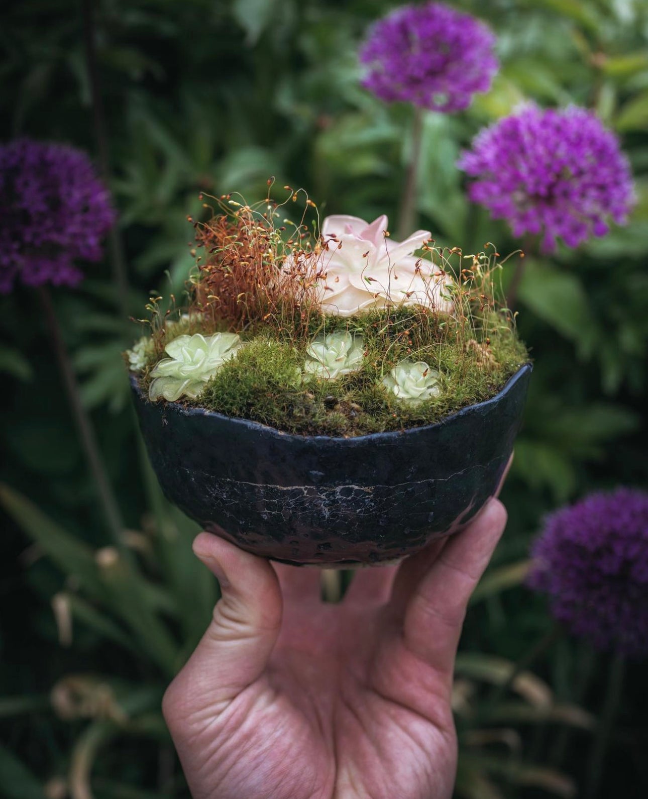 Ben Bowl - Concrete bowl
